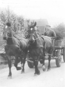 1000674 Afbeelding van een paard met wagen te Jutphaas.